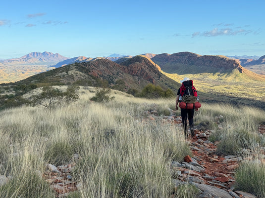 Experience Larapinta