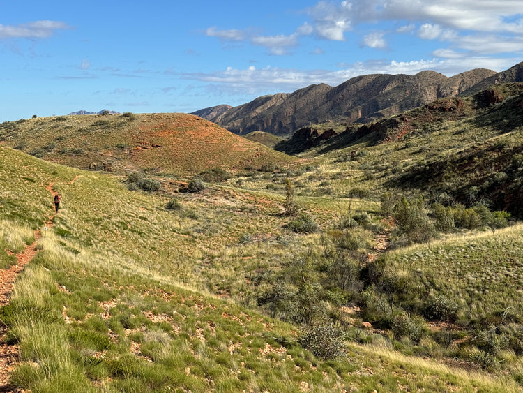 Larapinta Trail Transfers